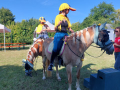 20250629_093353.jpg