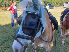 20250629_093202.jpg